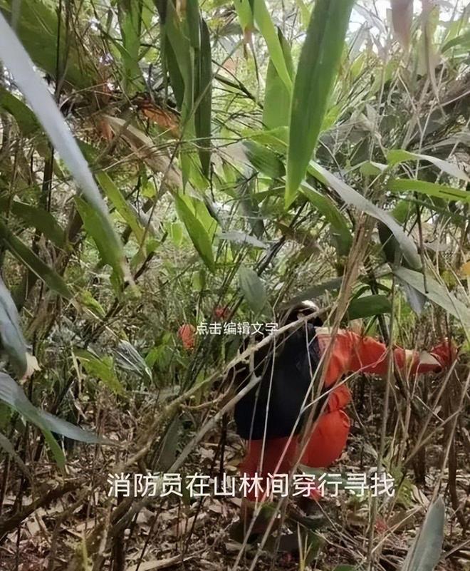 传来好消息福建爬山男童新线索曝光救援队回应仍有生还可能必赢中国官方网站(图9)