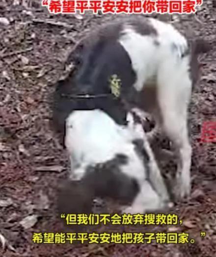 传来好消息福建爬山男童新线索曝光救援队回应仍有生还可能必赢中国官方网站(图13)