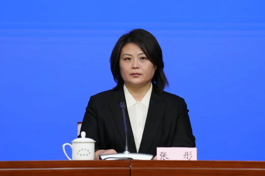 算力领跑、服务升级！数字河北精彩答卷来啦(图5)