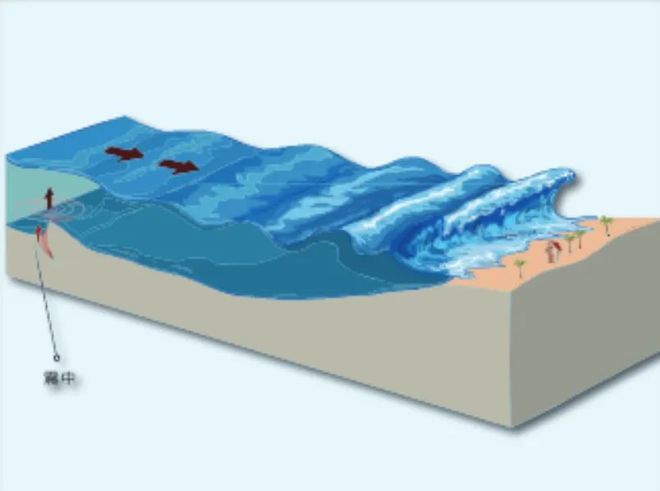 地震引发海啸！速看保命指南(图2)